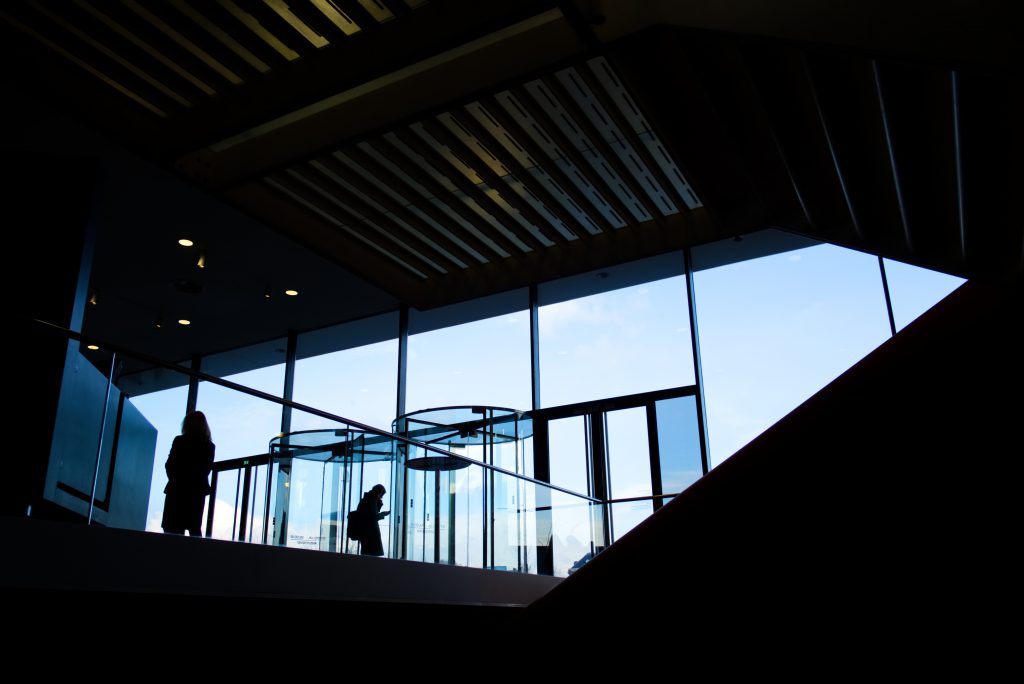 La estrategia del avestruz o tu elección inteligente Elige Ebolution como partner de confianza